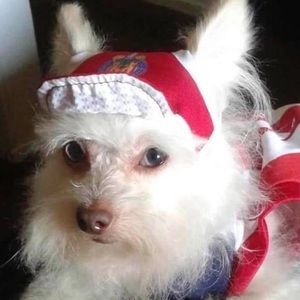 Meet your Posher, Tomas